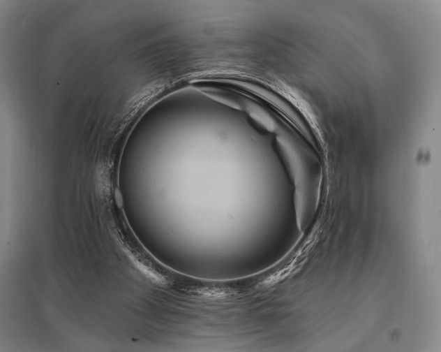 X0000095550105200712141604