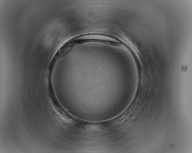 X0000095550107200712141604