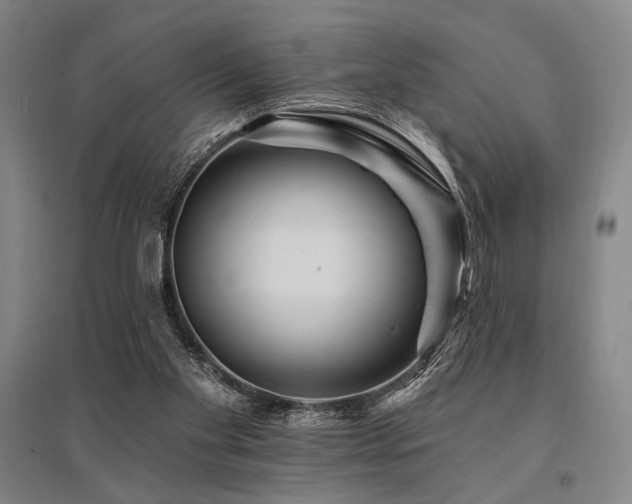 X0000095550109200712141604