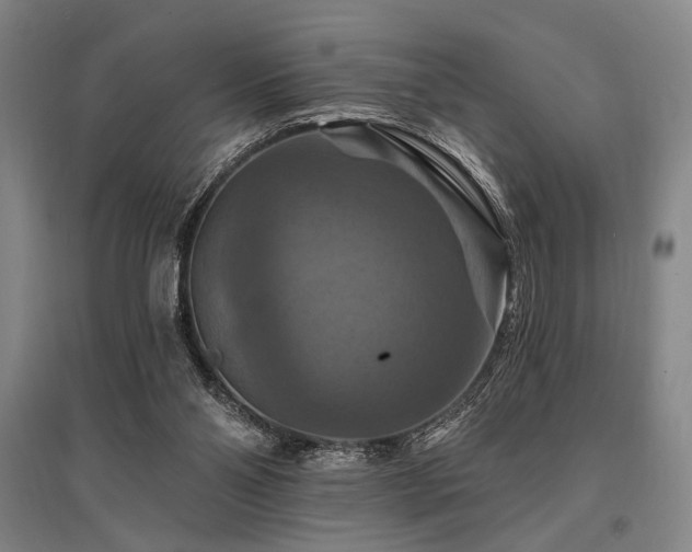 X0000095550110200712141604