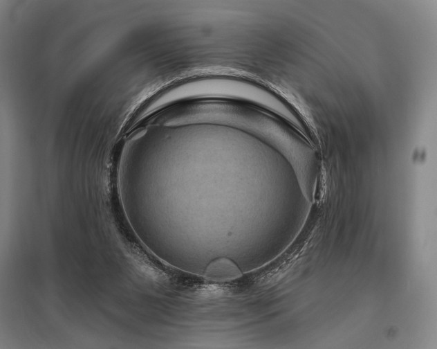 X0000095550111200712141604