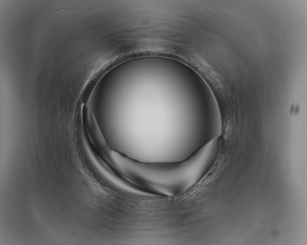 X0000095550112200712141604