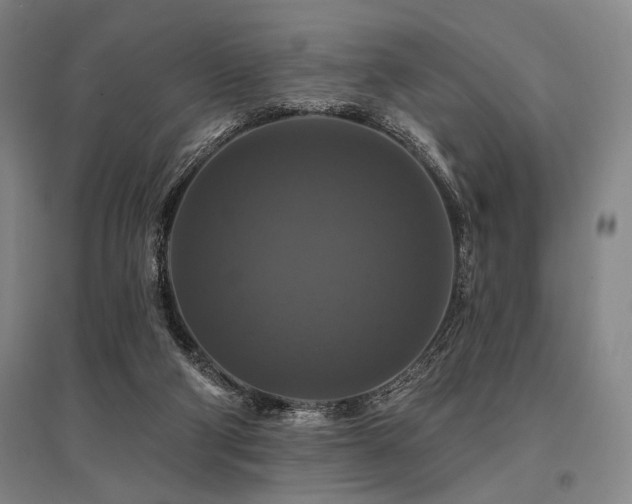 X0000095550114200712141604