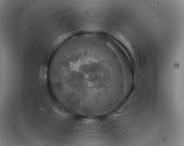 X0000095550115200712141604