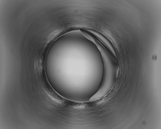 X0000095550116200712141604