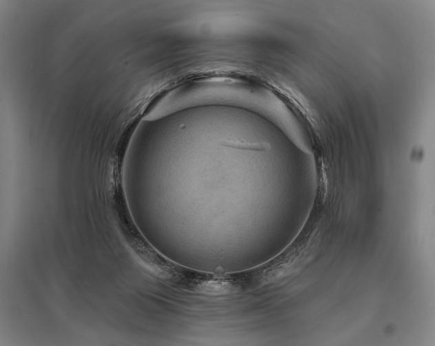 X0000095550119200712141603