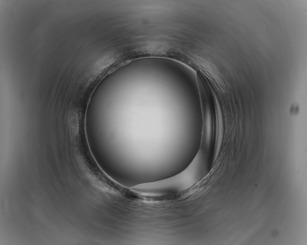 X0000095550120200712141603