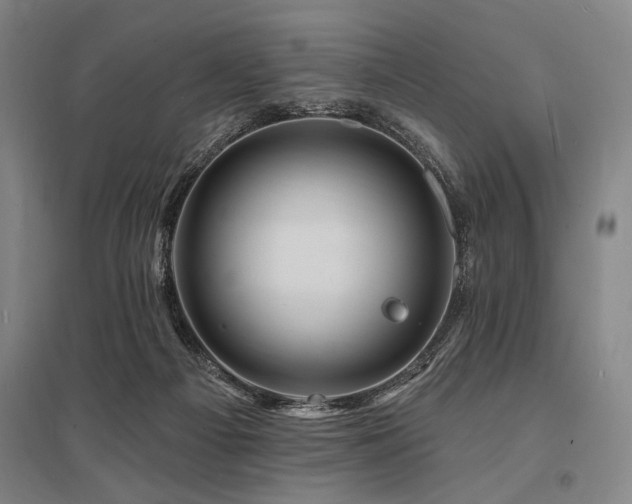 X0000095550121200712141603