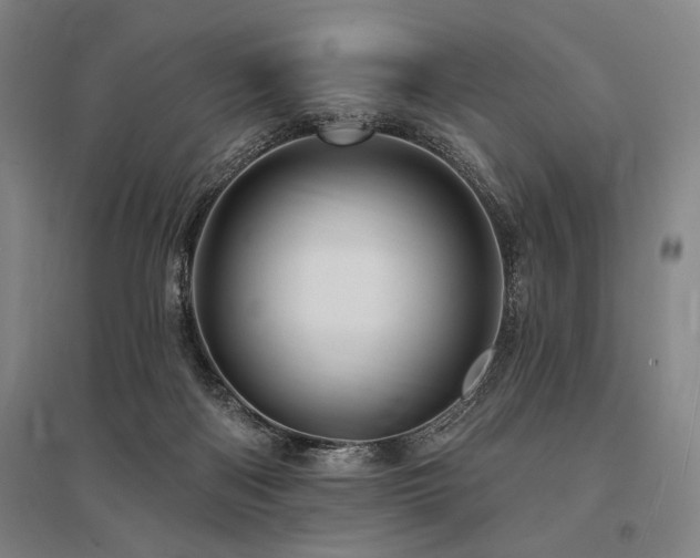 X0000095550122200712141603