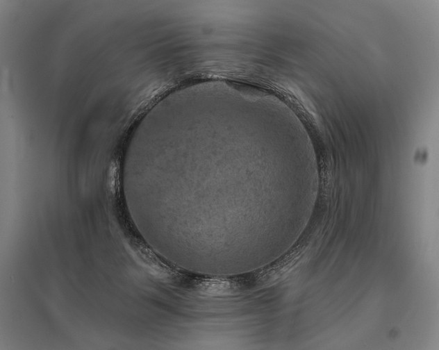 X0000095550123200712141603