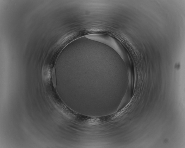 X0000095550124200712141603