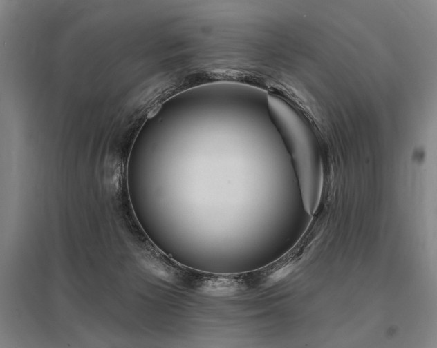 X0000095550125200712141603