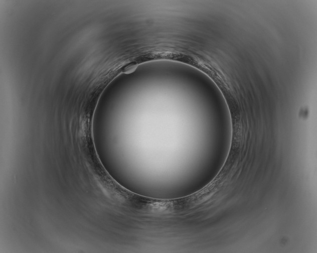 X0000095550126200712141603