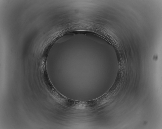 X0000095550127200712141603