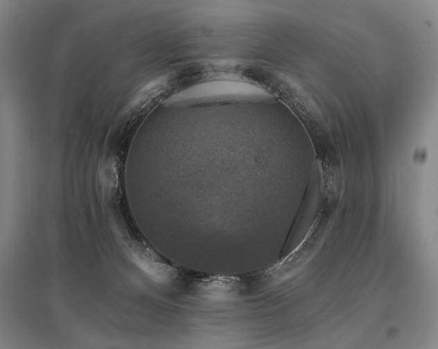 X0000095550128200712141603