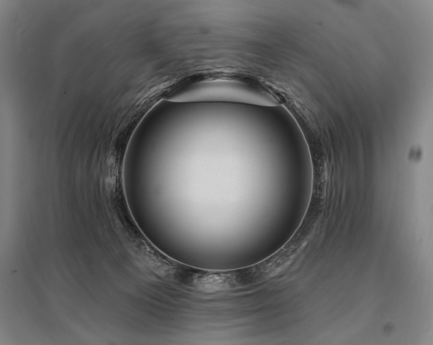 X0000095550129200712141603