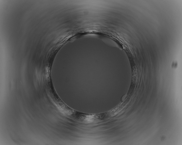 X0000095550130200712141603