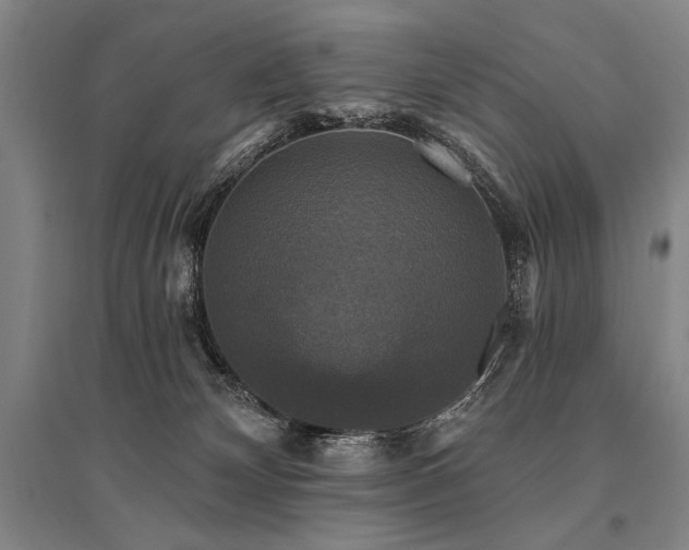 X0000095550132200712141603