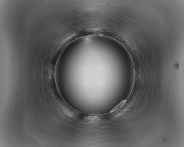 X0000095550133200712141603