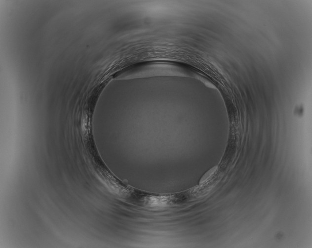 X0000095550134200712141603