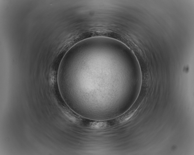 X0000095550135200712141603