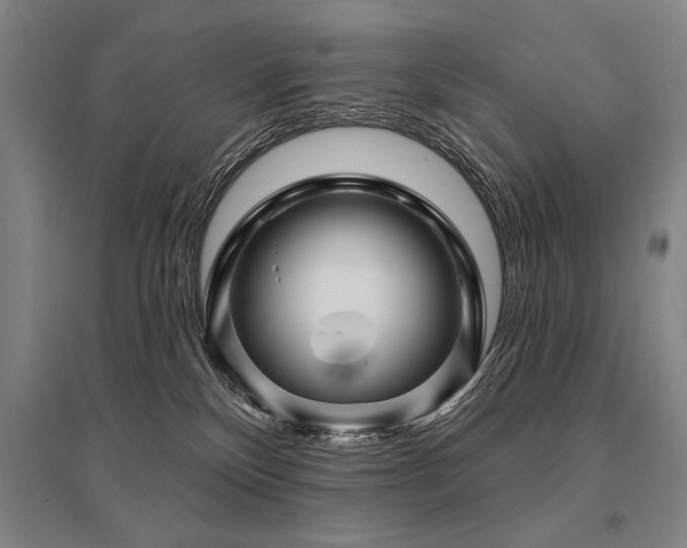 X0000095550136200712141603