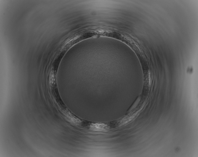 X0000095550137200712141603