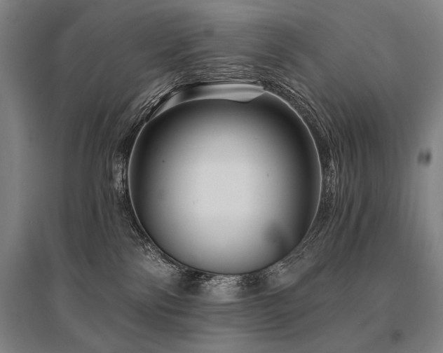 X0000095550138200712141603