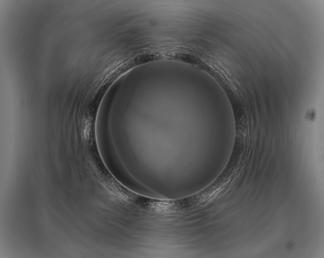 X0000095550139200712141603