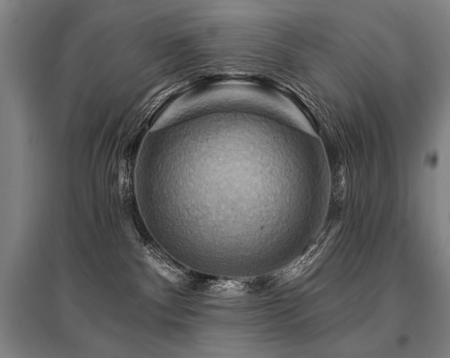 X0000095550140200712141603