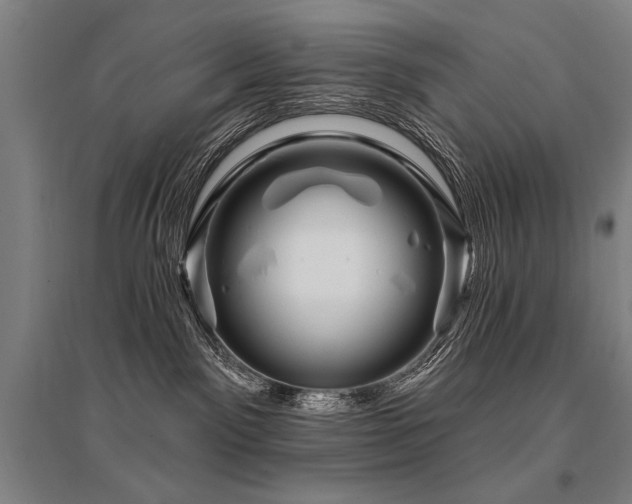 X0000095550141200712141603