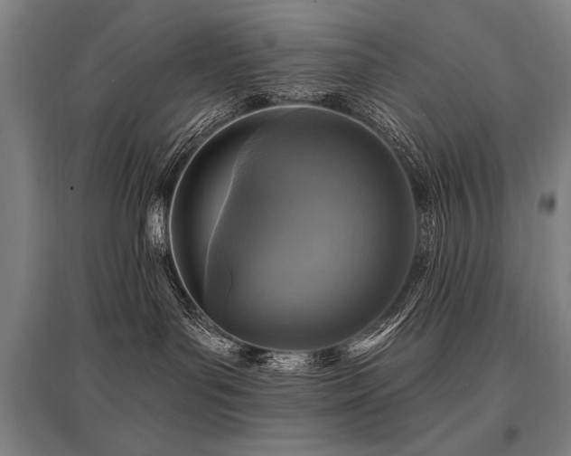 X0000095550143200712141603