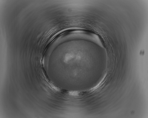 X0000095550144200712141603