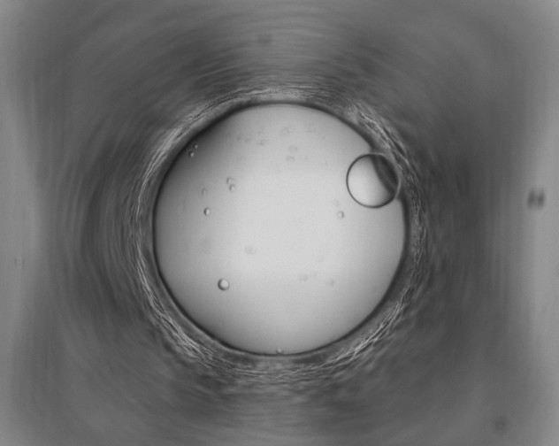 X0000095550145200712141602