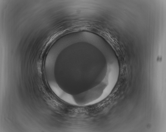 X0000095550146200712141602