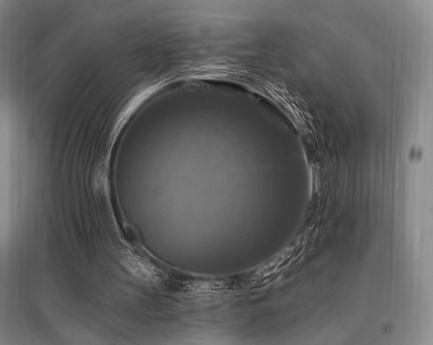 X0000095550147200712141603