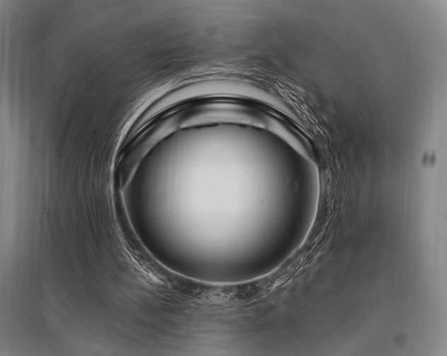 X0000095550148200712141603