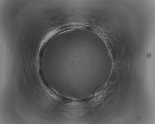 X0000095550149200712141603