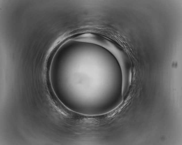 X0000095550150200712141603