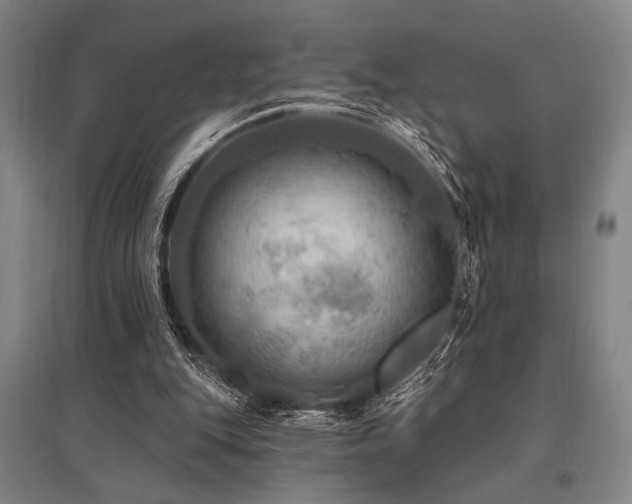 X0000095550151200712141603