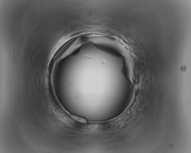 X0000095550152200712141603