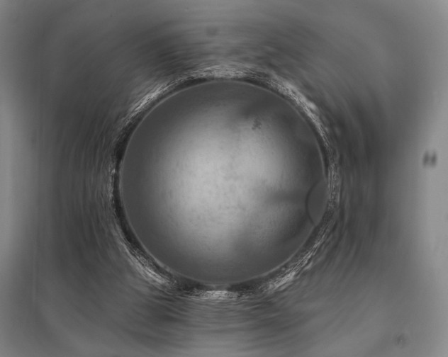 X0000095550153200712141603