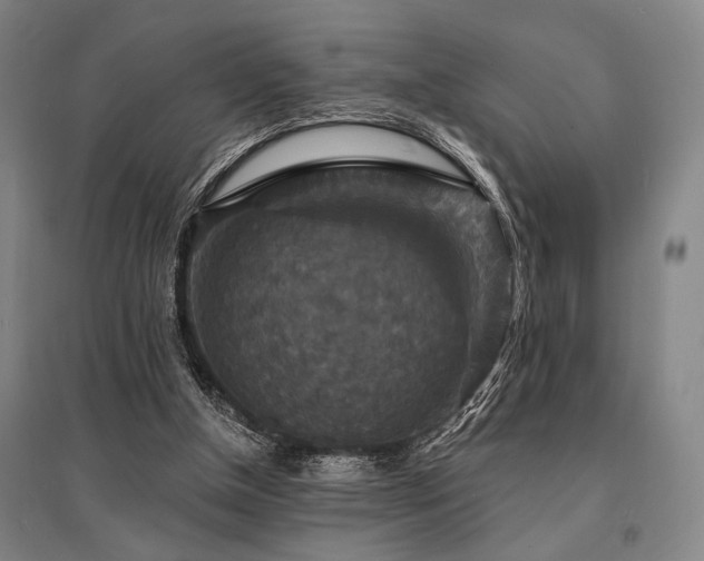 X0000095550154200712141603