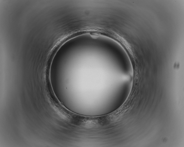 X0000095550155200712141603