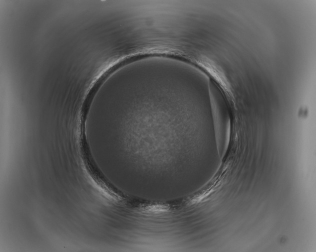 X0000095550156200712141603