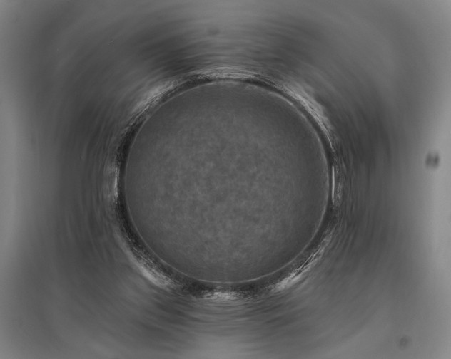 X0000095550157200712141603