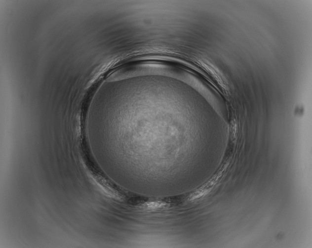 X0000095550158200712141603