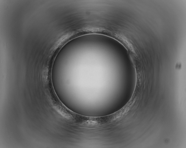 X0000095550159200712141603