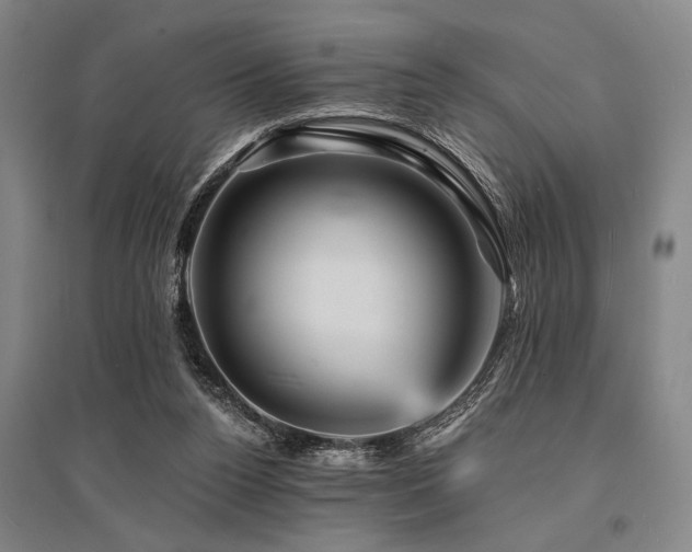 X0000095550160200712141603