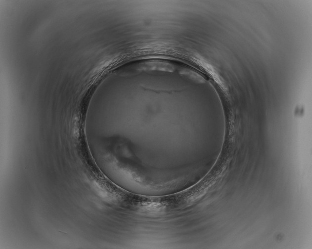 X0000095550161200712141603